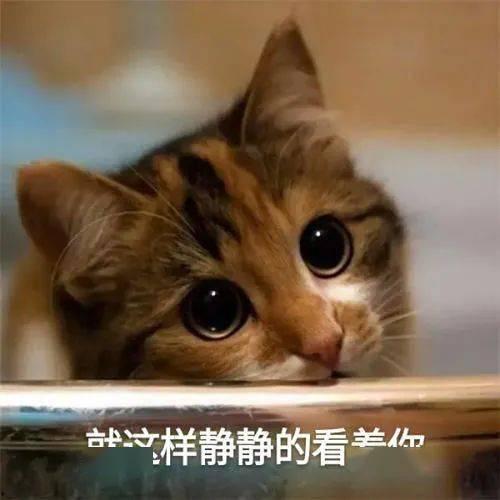 微密猫黑料吃瓜