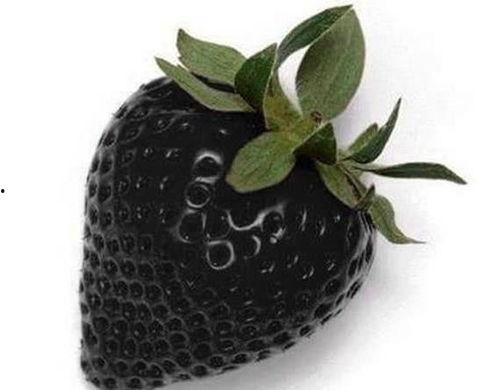 国产精品黑料吃瓜,揭秘娱乐圈背后的秘密与真相