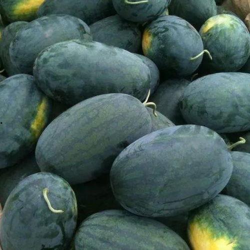 吃瓜曝光黑料155fun在线看